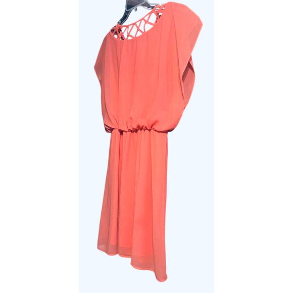 DINA BE ROUND NECK BLOUSON WAIST MIDI FIT & FLARE DRESS. WOMENS, L, PEACH - Picture 5 of 11